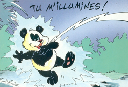 panda couleur